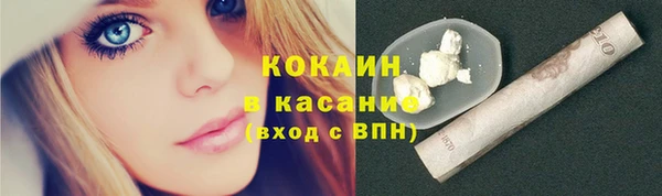 СК Михайлов