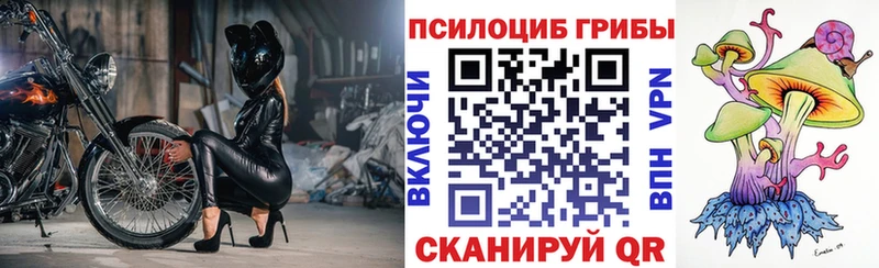 Псилоцибиновые грибы прущие грибы  что такое   Нефтекамск 