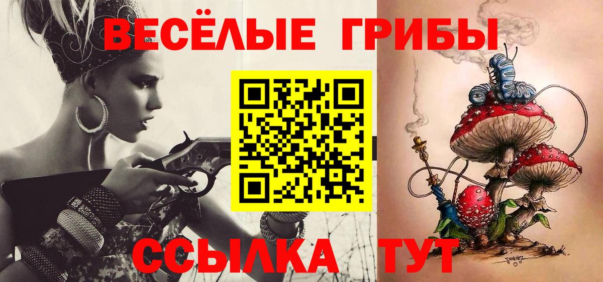 Галлюциногенные грибы Psilocybine cubensis Нефтекамск