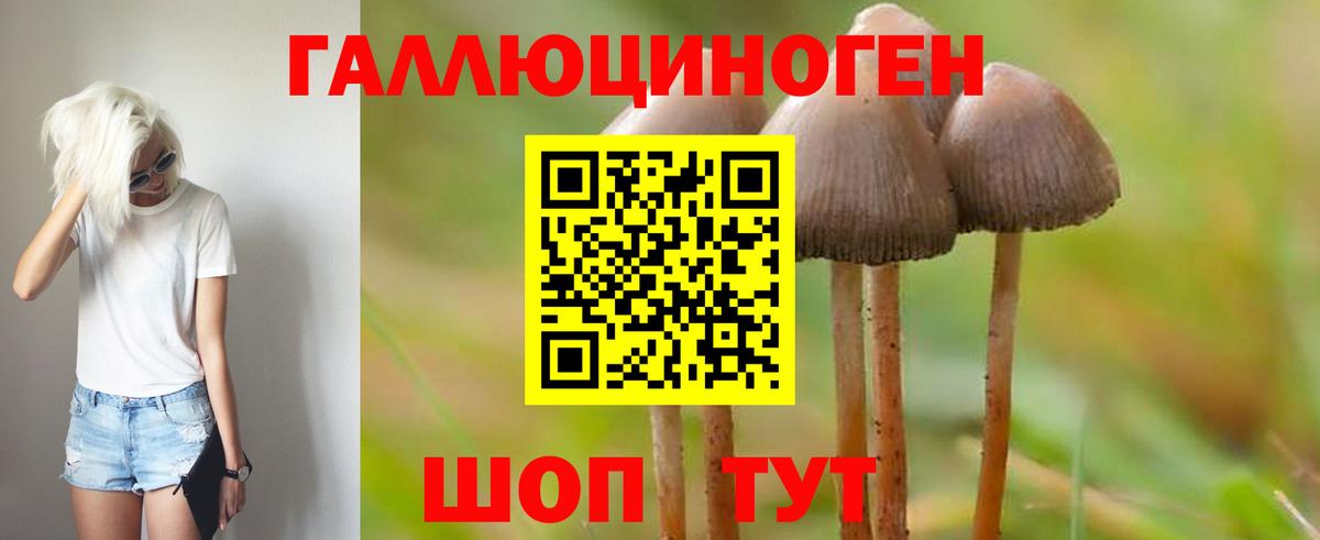 Псилоцибиновые грибы Cubensis  Вход с VPN  Нефтекамск  Псилоцибиновые грибы мицелий 
